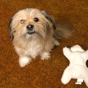 Meet your Posher, Denise